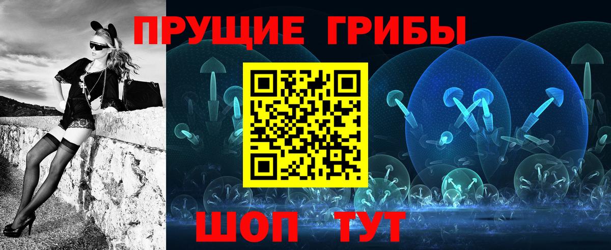 Галлюциногенные грибы Psilocybine cubensis Кинешма
