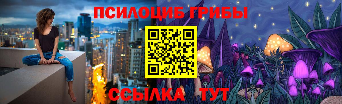 Галлюциногенные грибы Psilocybe  Псилоцибиновые грибы мухоморы  Вход с VPN  Кинешма 